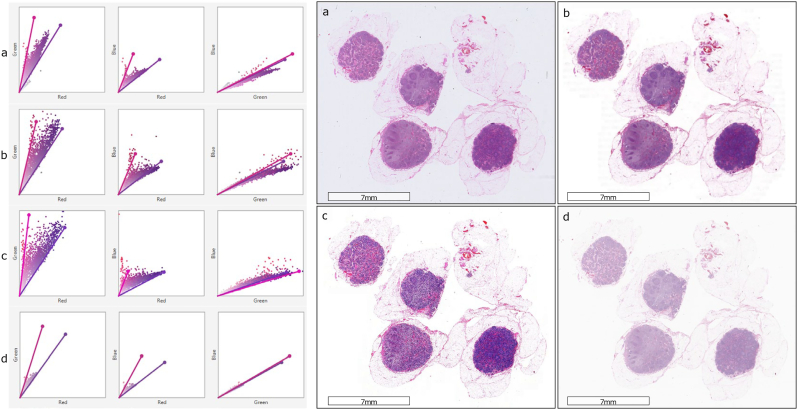 Fig. 2