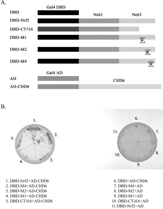 FIG. 7.