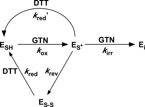 SCHEME 1.