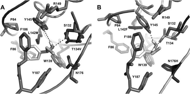 FIG 2