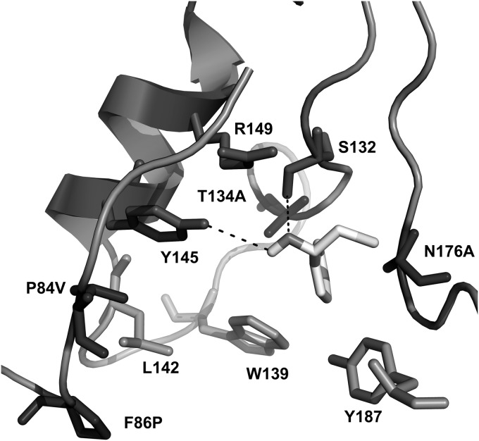 FIG 3