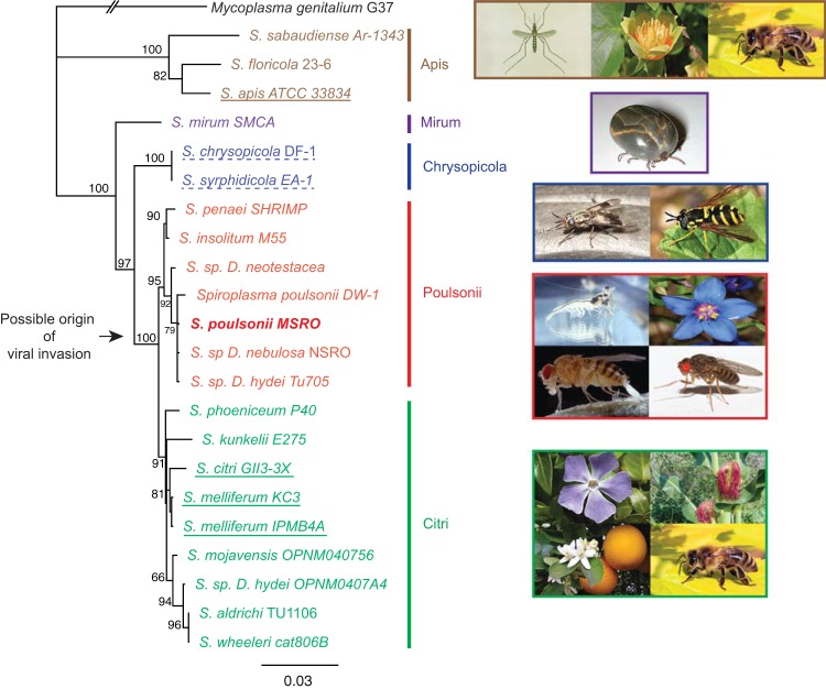 FIG 2 