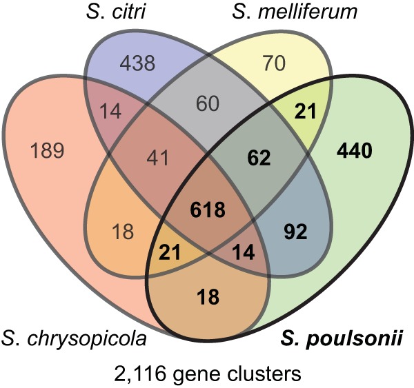 FIG 4 