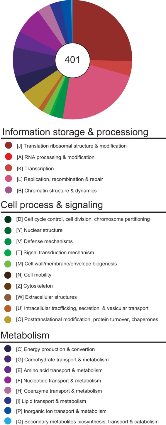 FIG 3 