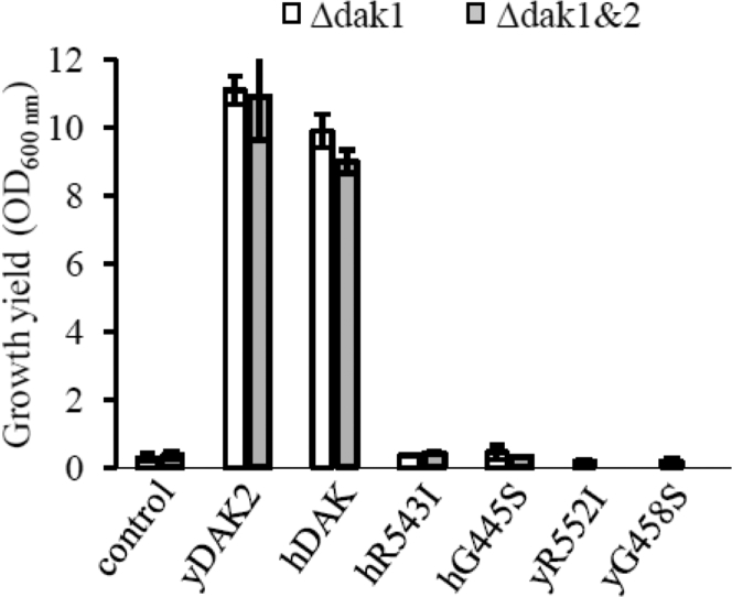 Figure 4