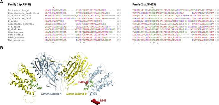 Figure 2