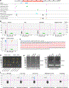 Extended Data Fig. 7