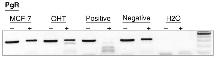 Fig. 10.3