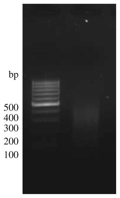 Fig. 10.2