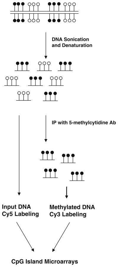 Fig. 10.1