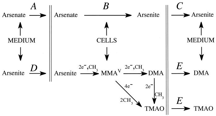 FIG. 5.