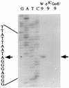 FIG. 5