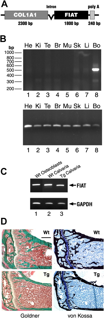 Figure 4.