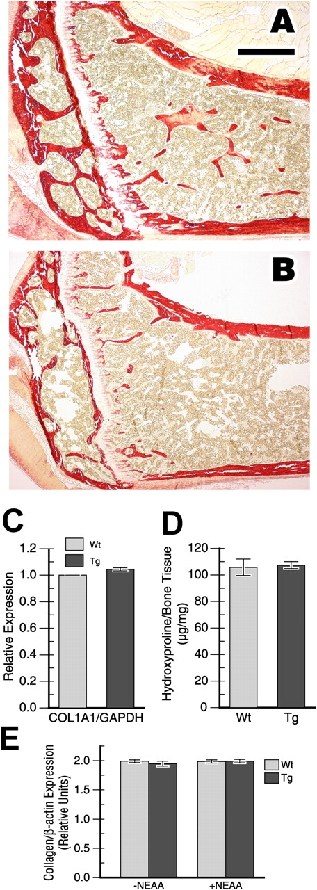 Figure 9.