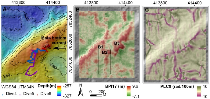 Figure 9