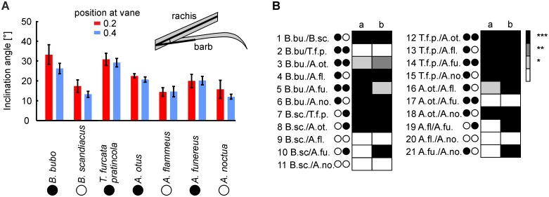 Fig 10