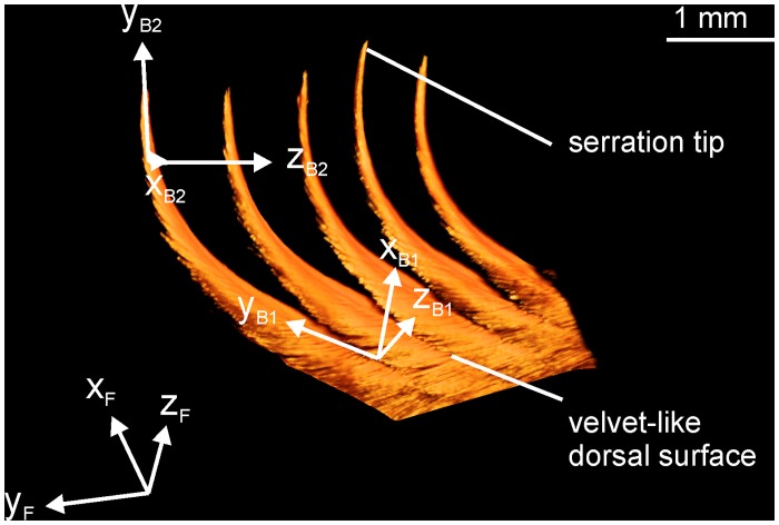 Fig 8