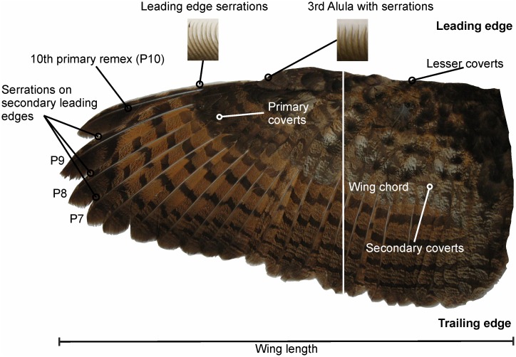 Fig 2