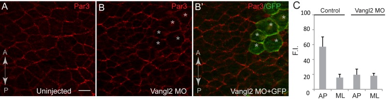 Figure 2—figure supplement 4.