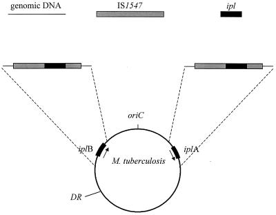 FIG. 1