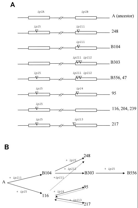 FIG. 3