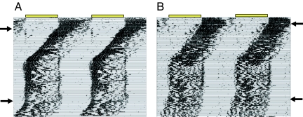 Fig. 5.