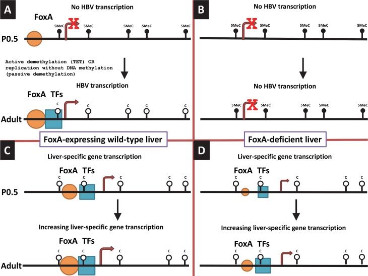 Fig 12