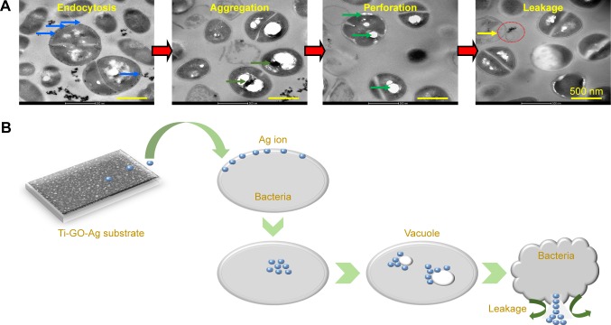 Figure 15