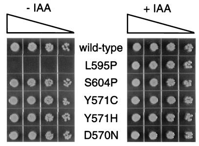 FIG. 8