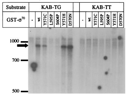 FIG. 6