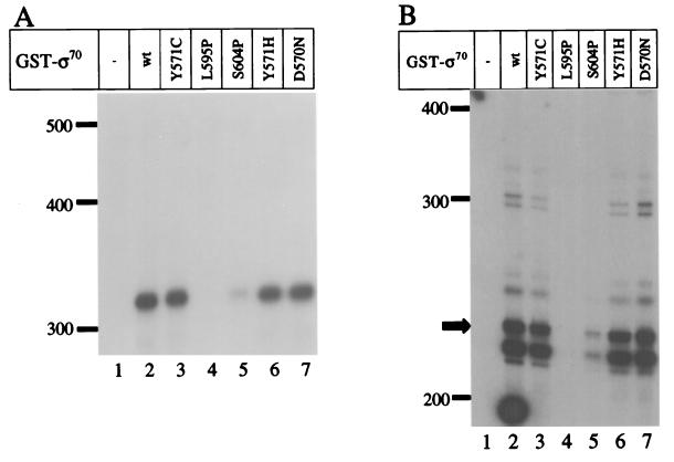 FIG. 5