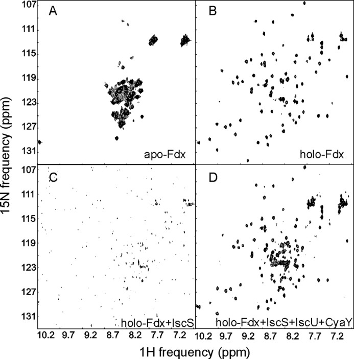 FIGURE 1.