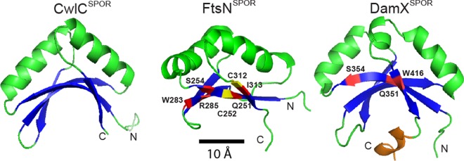 FIG 2