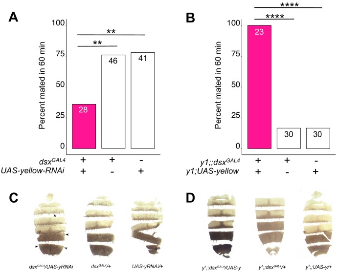 Figure 2—figure supplement 1.