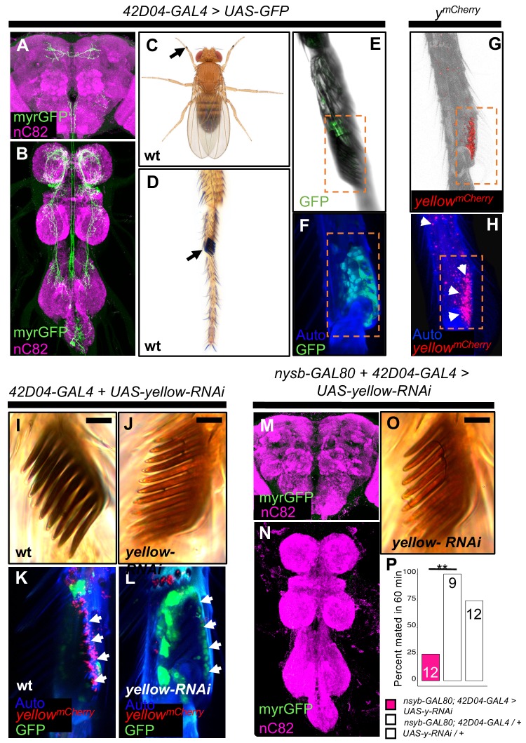 Figure 3.