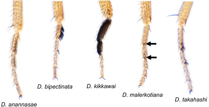 Figure 4—figure supplement 2.