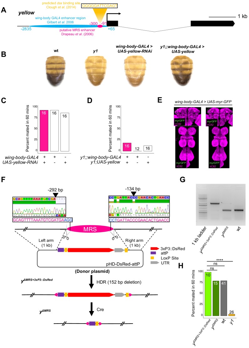 Figure 2—figure supplement 2.