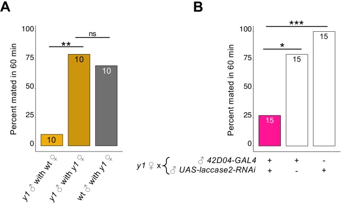 Figure 4—figure supplement 3.