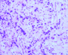Fig. 2b.