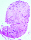 Fig. 2a.