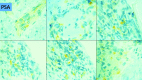 Fig. 2c.