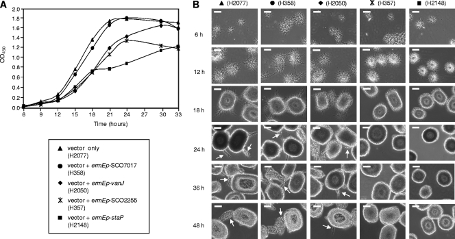 Fig 8