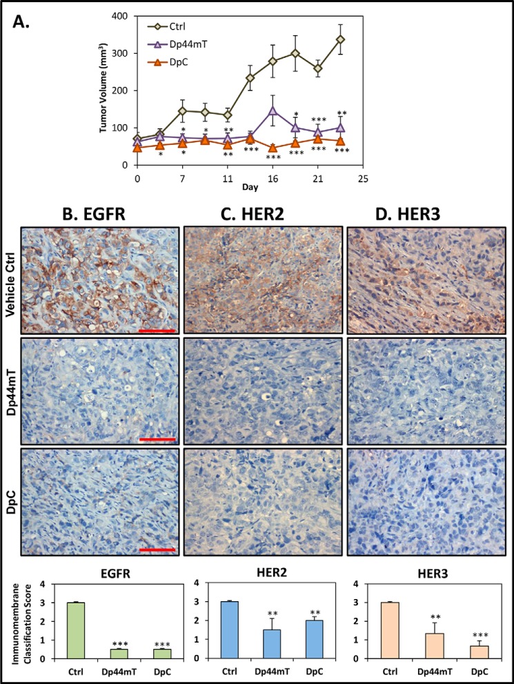 FIGURE 11.