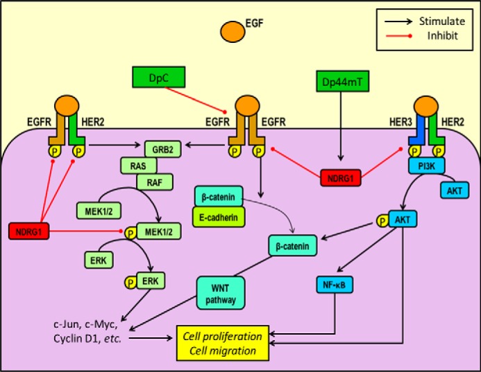 FIGURE 12.