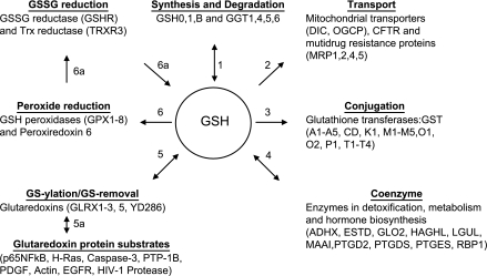 Fig. 4.