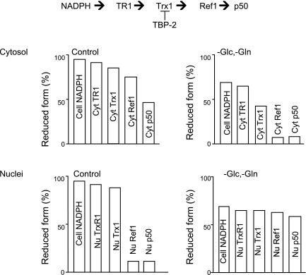 Fig. 6.