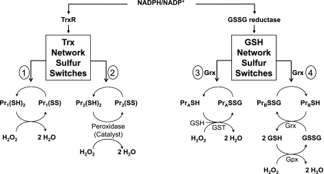 Fig. 8.