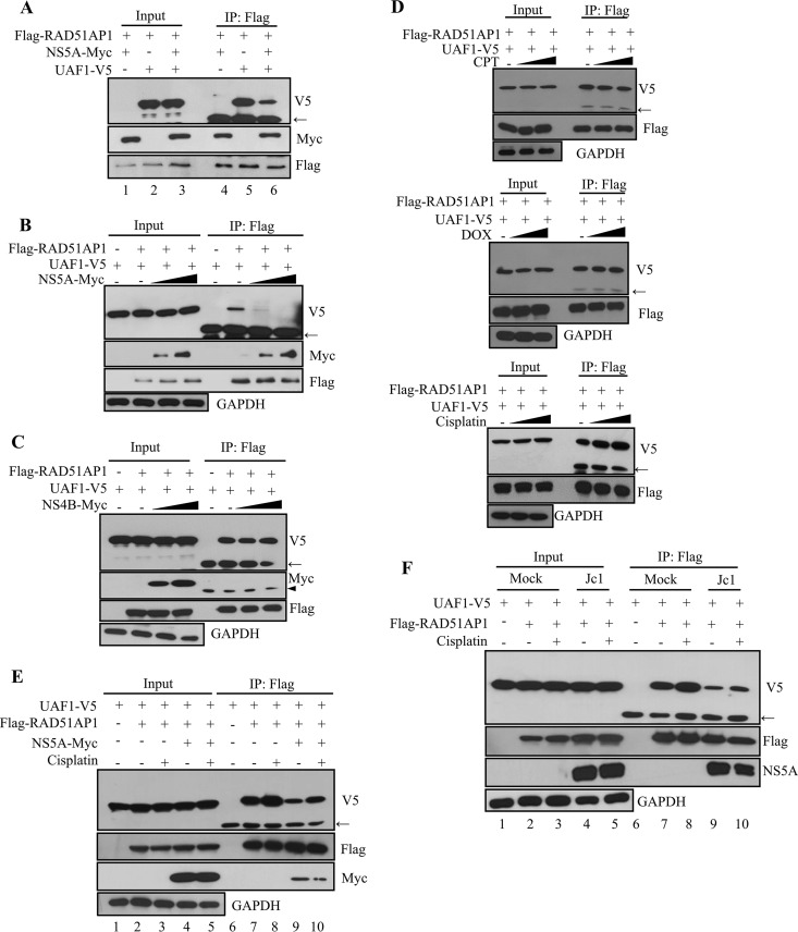 FIG 4