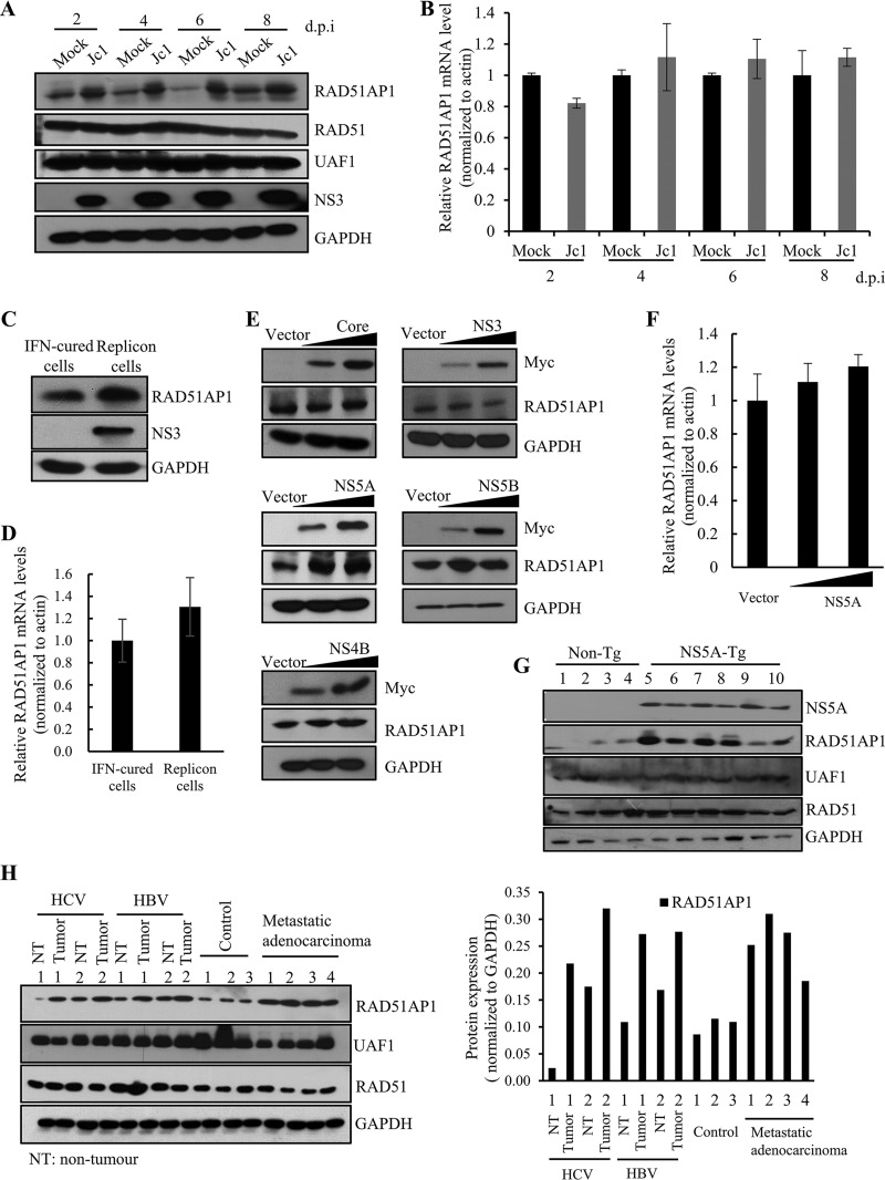 FIG 2