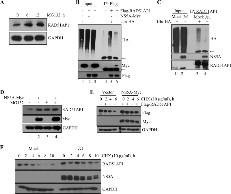 FIG 3